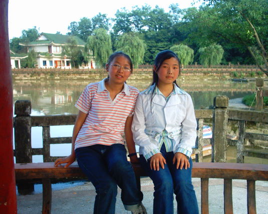 2006  (33)